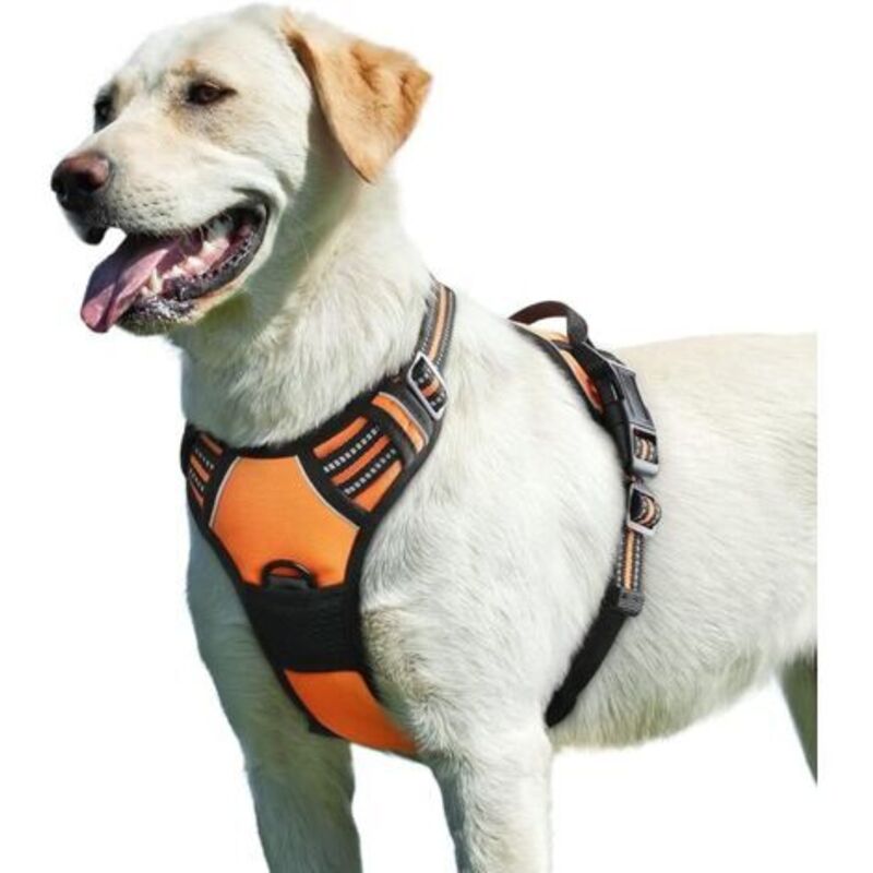Orange, L, Hundegeschirr, Anti-Zug Hundegeschirr Reflektierend Verstellbar, Einfach Anzulegen, mit Kontrollgriff, Atmungsaktives, Strapazierfähiges