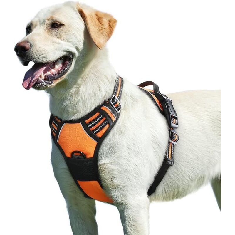 Linghhang - Orange, l, Hundegeschirr, verstellbares reflektierendes No-Pull-Hundegeschirr, einfach anzulegen, mit Kontrollgriff, atmungsaktives