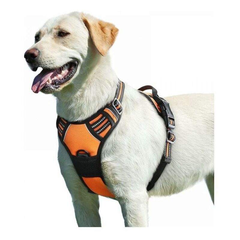 Oranges Hundegeschirr, verstellbar, reflektierend, gegen Ablenkung, leicht zu tragen, mit Kontrollgriff, atmungsaktives Hundegeschirr für mittelgroße