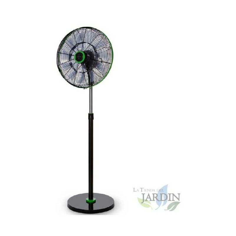 Suinga - Orbegozo leiser Standventilator, Fernbedienung, 18 Flügel. Schwarz und grün.
