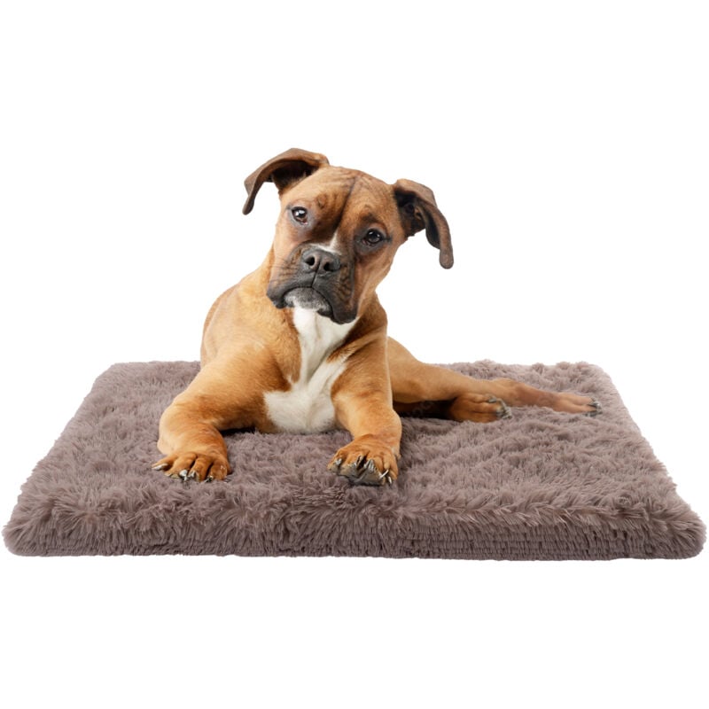 Paco Home - Hundebett Katzenbett Flauschig Hundekissen Hundesofa Hundedecke Hundekörbchen Beige, 50x80 cm