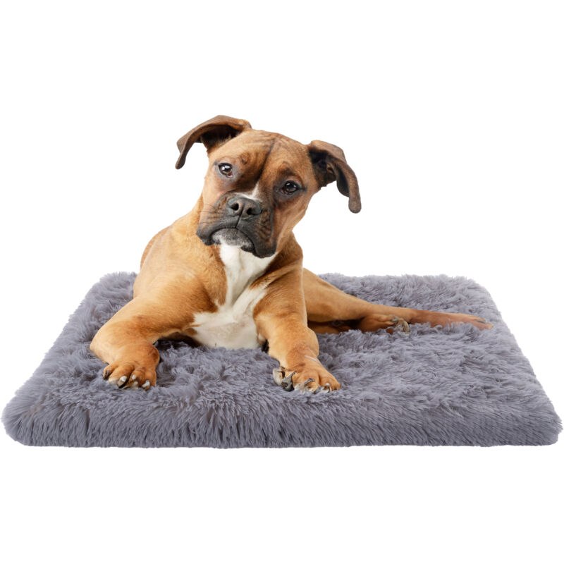 Paco Home - Hundebett Katzenbett Flauschig Hundekissen Hundesofa Hundedecke Hundekörbchen Grau, 50x80 cm