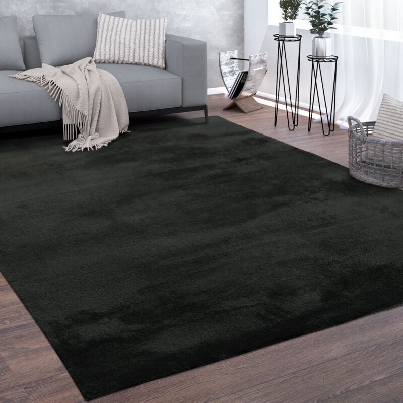 Paco Home Waschbarer Teppich Wohnzimmer Kurzflor Einfarbiger Moderner Stil Weich Schwarz 120x160 cm