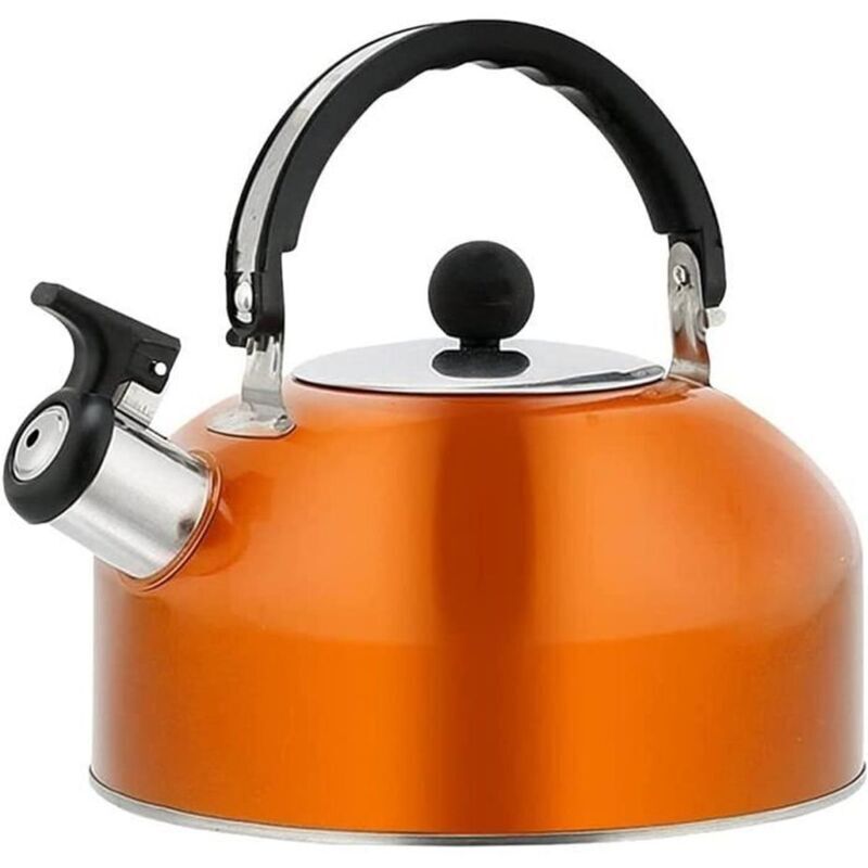 Pfeifender Wasserkocher – Edelstahl-Pfeifkessel für Induktionsherde – Wasserkocher/Kaffeekanne