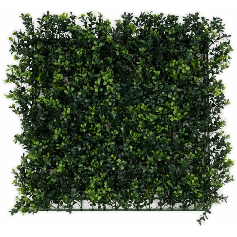 Karat - Pflanzenwand Boxwood Kunstpflanzen zur Wandmontage 50 x 50 cm