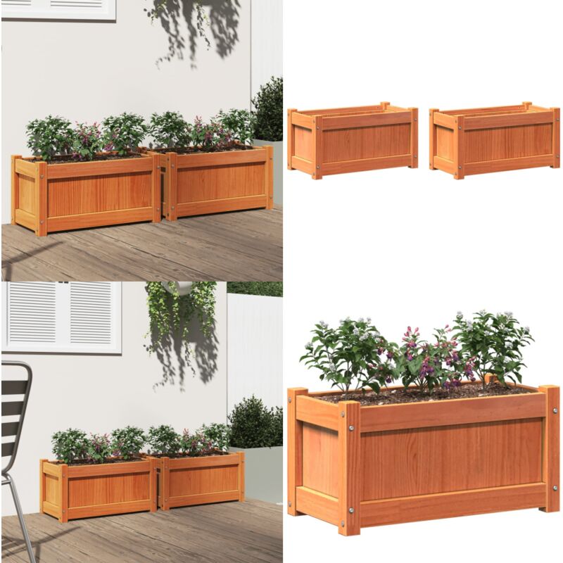 Pflanzkübel 2 Stk. Wachsbraun Massivholz Kiefer - Holzpflanze - Kübeln - Blumenerde - Balkonpflanzen - Gartendeko - Home & Living