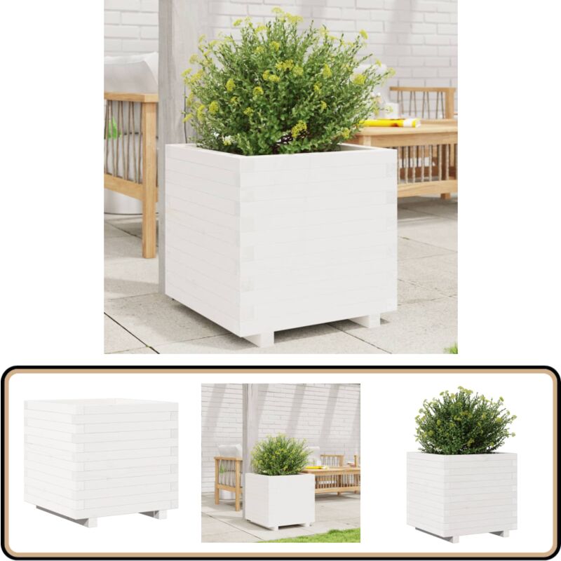 Pflanzkübel Weiß 50x50x49,5 cm Massivholz Kiefer - Holzpflanze - Hochbeet - Blumenerde - Gartendekoration - Pflanzkübel Weiß