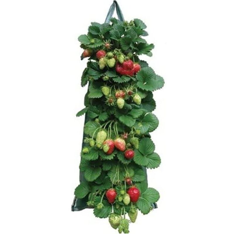 Pflanzsäcke für Erdbeeren und Kräuter, PE-Pflanzsäcke mit Taschen für Gemüse, Erdbeeren, Kräuter, Blumen, Kartoffeln, Karotten, Tomaten und Zwiebeln