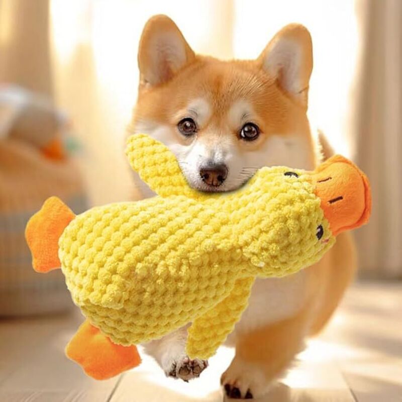 Plüsch-Hundespielzeug für kleine Hunde, quietschendes Hundespielzeug, weiches Welpenspielzeug für mittelgroße und kleine Hunde, 25 cm