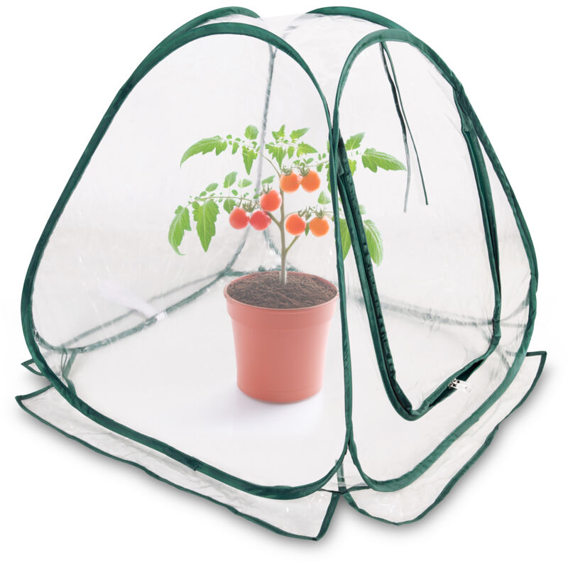 Mini Pop-Up Gewächshaus - 60 x 60 cm - Folien Treibhaus Pflanzenzelt Überwinterungszelt Blumen Wurfzelt