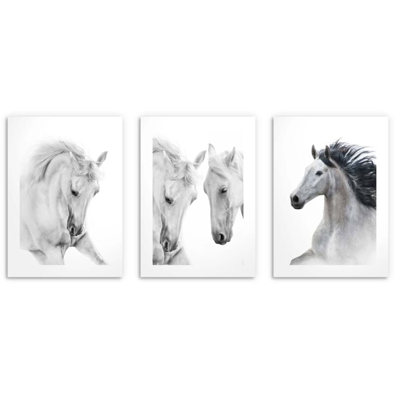 Poster für die Wand in der Küche Wohnzimmer Poster für Kinder Weiße Pferde 3x50x70