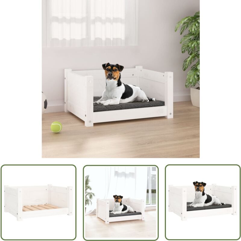 Prolenta Premium - The Living Store Hundebett Weiß 55,5x45,5x28 cm Massivholz Kiefer - Hundebett - Hunde Bett - Holz Hundebett - Kiefernholz