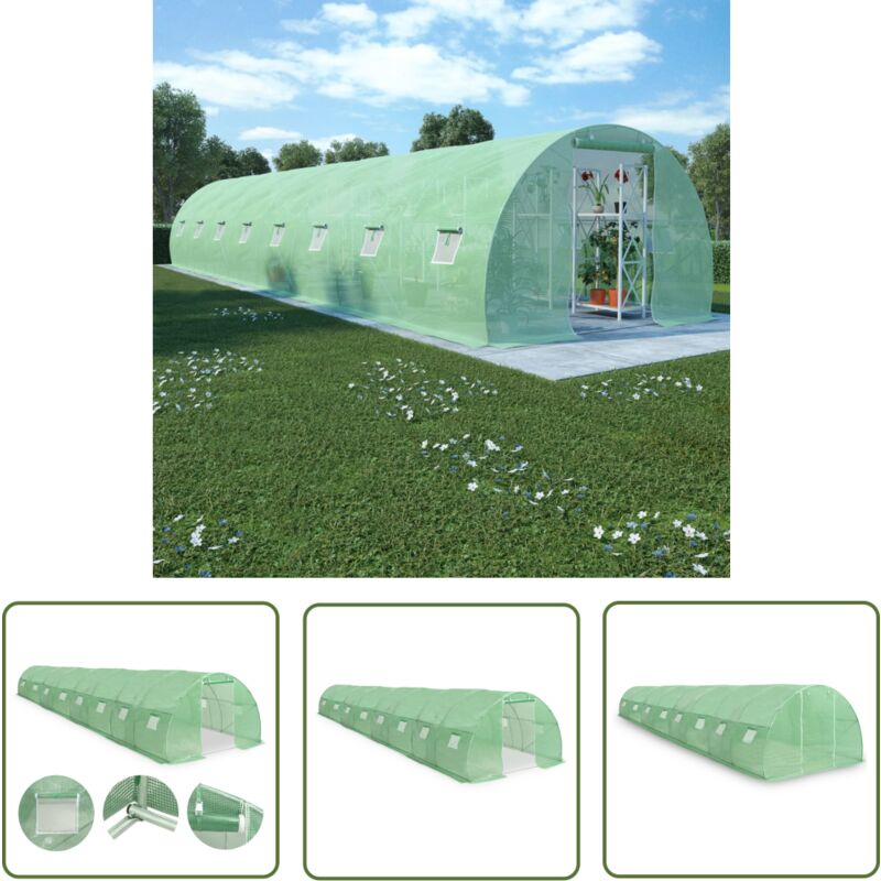 Prolenta Premium - The Living Store Gewächshaus 36m² 1200x300x200 cm - Gewächshaus - Pflanzenhaus - Gartenhaus - Pflanzenzucht - Schutz Vor Witterung