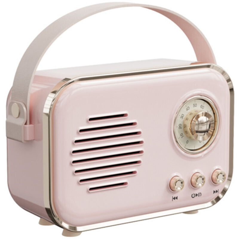 Radio FM portatile, audio wireless Bluetooth, karaoke, scheda TF, riproduzione FM, altoparlante bassi alta fedeltà