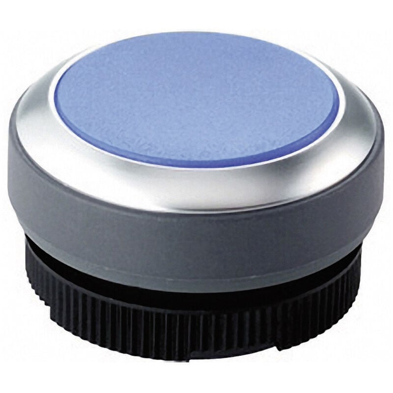 Rafi - 1.30.270.021/2600 x 22 fs+ 1.30.270.021/2600 Drucktaster Betätiger flach Blau 1 St.