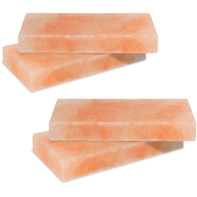 Randaco 4er Set Himalaya Salzstein 20x10x2,5 cm Salzfliese zum Grillen & Servieren für Steak Fisch BBQ Zubehör