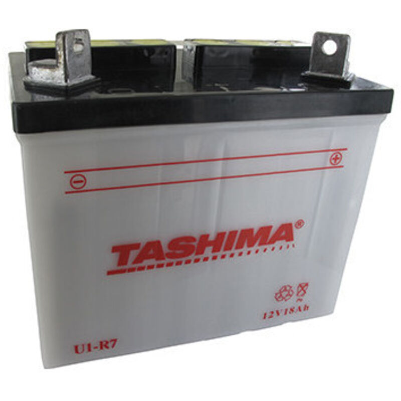Batterie Blei Tashima für Aufsitzmäher 12V, 18Ah. L: 195, B: 130, H: 185mm, + rechts. (ohne Säure geliefert). - Batterie an