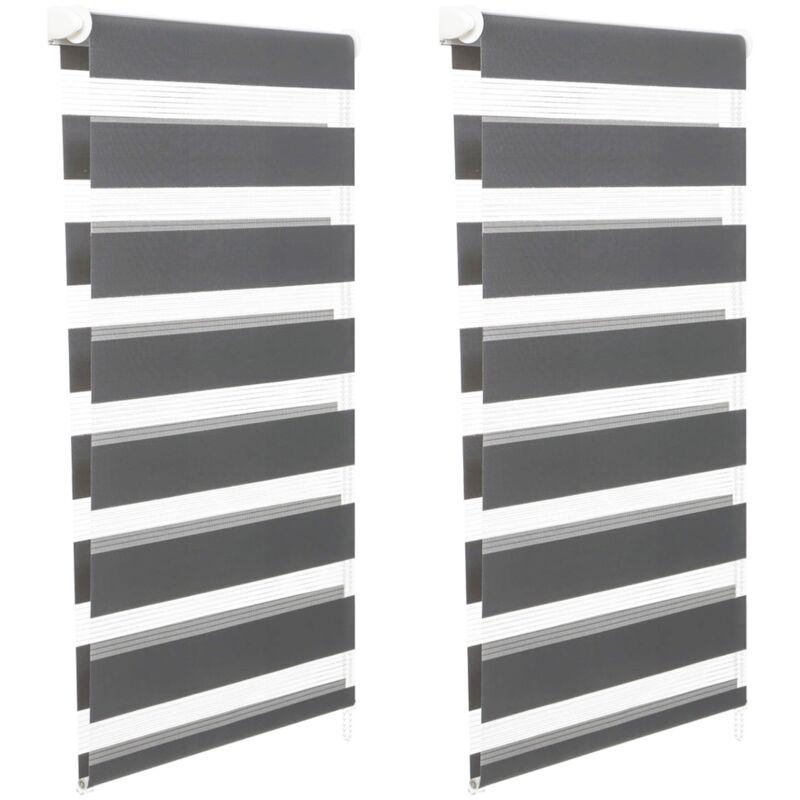 Satz von 2 Rollos mit Zebramuster Tag und Nacht B.45 x h. max 170 cm grau