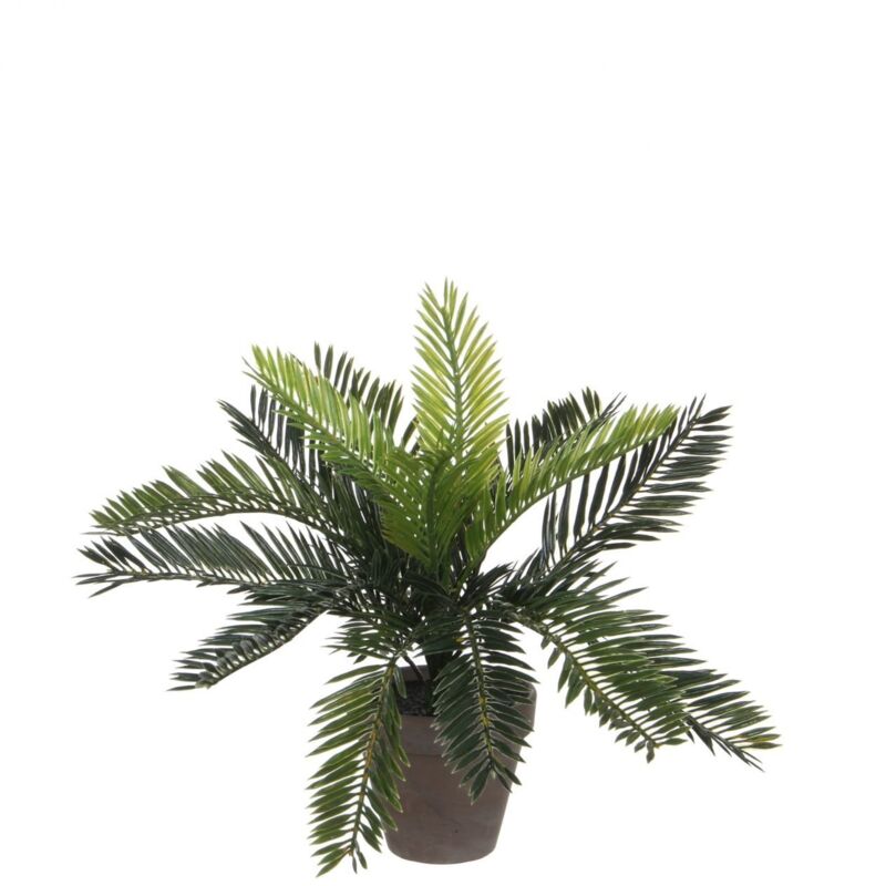 Mica Cycas Palme grün im Topf 33 x 34 cm Kunstpflanzen