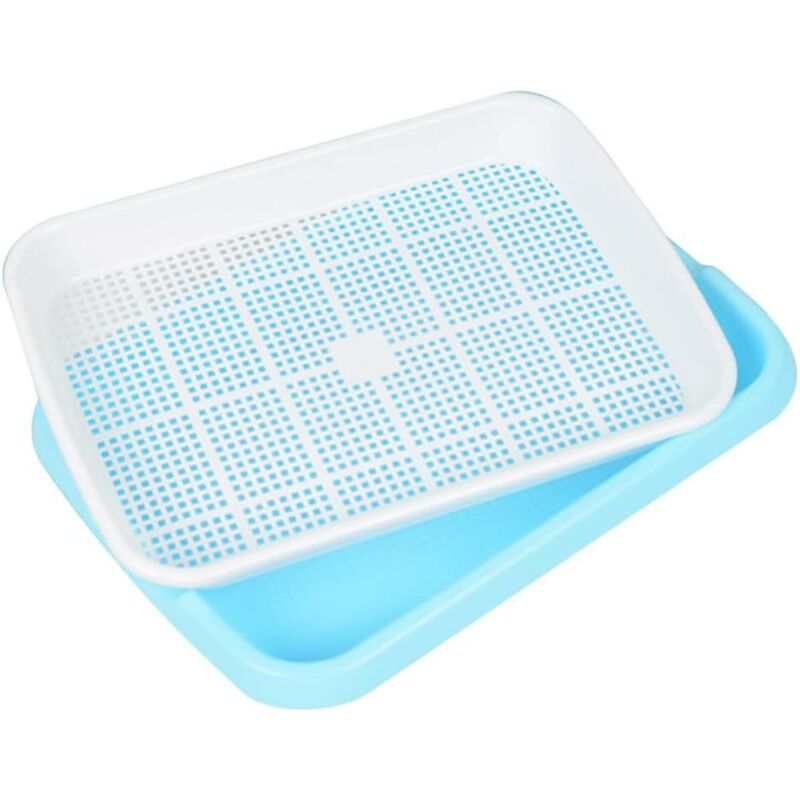 Samenkeimtablett für Keimsamen, Weizen, Samen, Kräuter, Hydrokultur, langlebig, für Garten, Zuhause, Büro