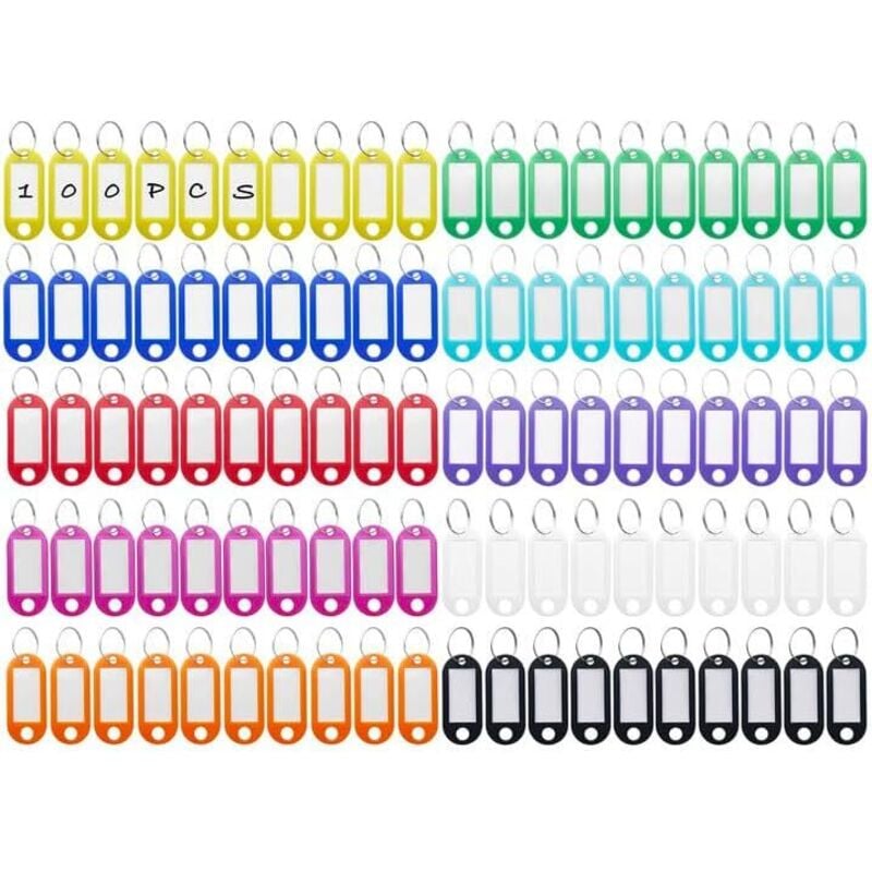 Shining House - 100 Stück Schlüsselanhänger, Schlüsselanhänger aus Kunststoff, beschreibbare farbige Schlüsselanhänger in 10 Farben,