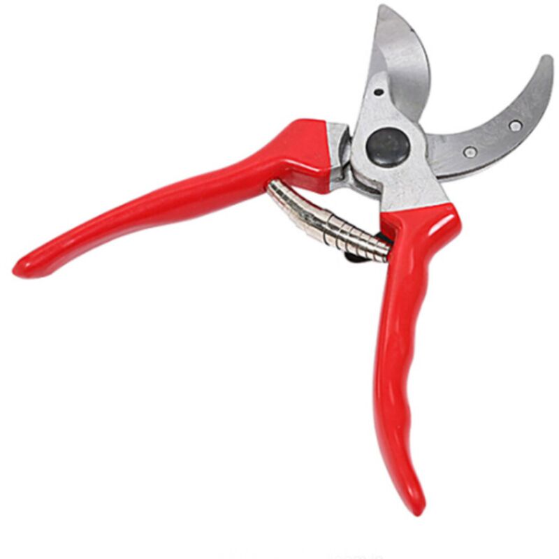 Gartengeräte, multifunktionale Garten-Obst-Gartenschere, Gartengeräte, Beschneiden, Obst-Gartenschere, Obst-Gartenschere, Gartengeräte- - Shining