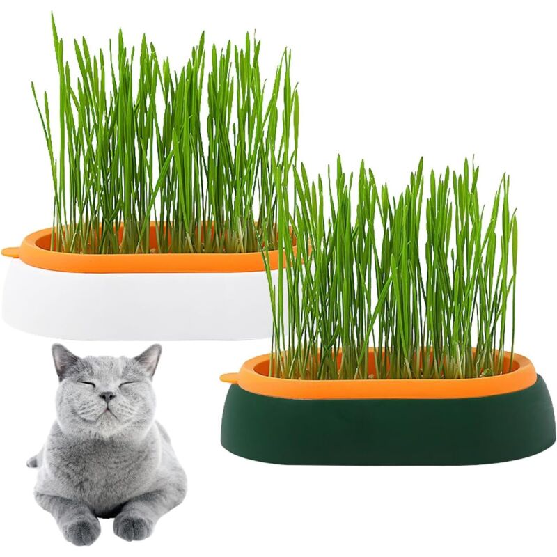 SHINING HOUSE Keimgerät zum Keimen von Samen, 2 Stück wiederverwendbarer Samen-Startbehälter für die Keimung, Vermehrung, Anzucht von Pflanzen im