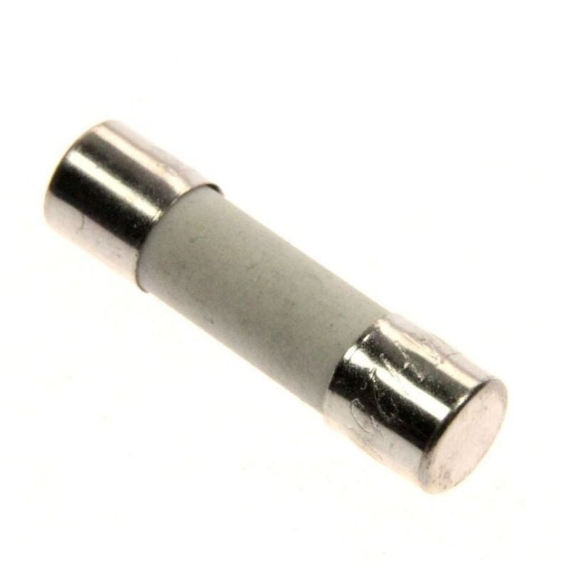 Brandt - Sicherung 10a für Mikrowelle