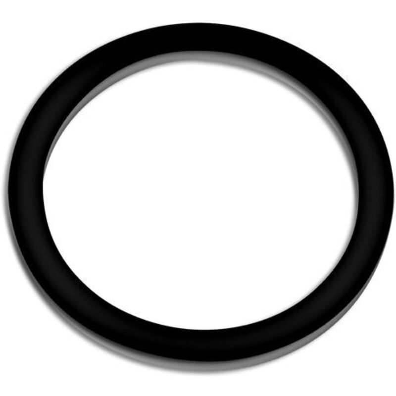 SunSun Ersatzteil für Schwimmbadpumpe Dichtung 3, 550 W Poolfilteranlage, Poolpumpe mit Schwimmerschalter, Filterpumpe 13000 l/h