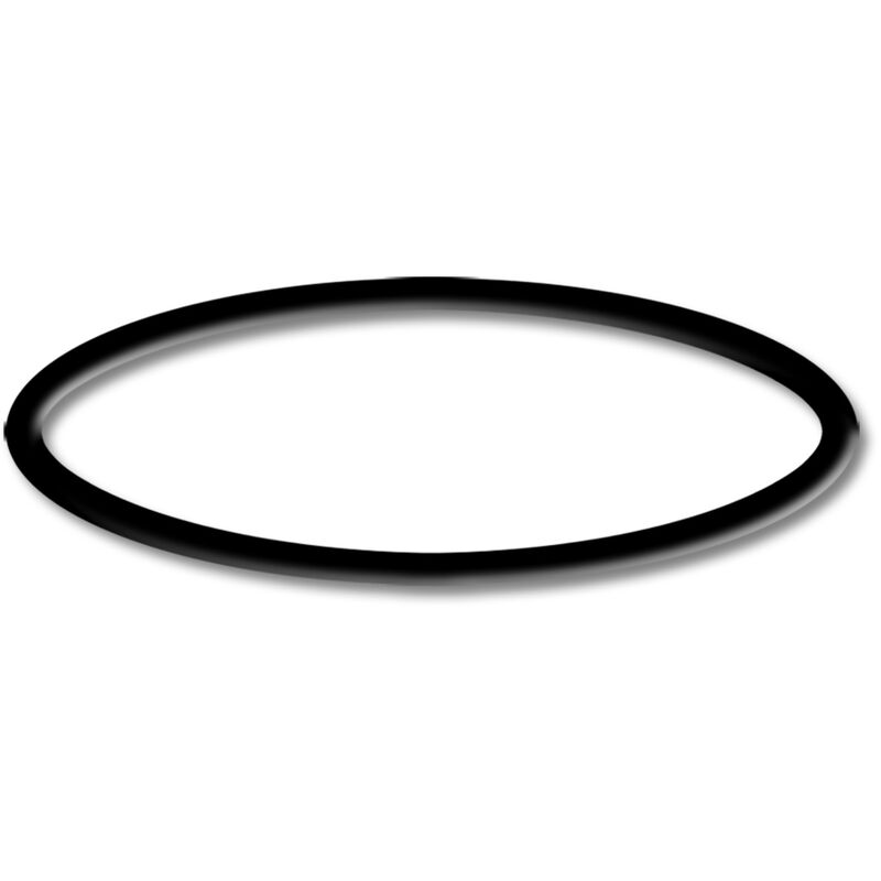 Schwimmbadpumpe HZS-750 Ersatzteil O-Ring 3 Poolpumpe Pumpe Pool - Sunsun