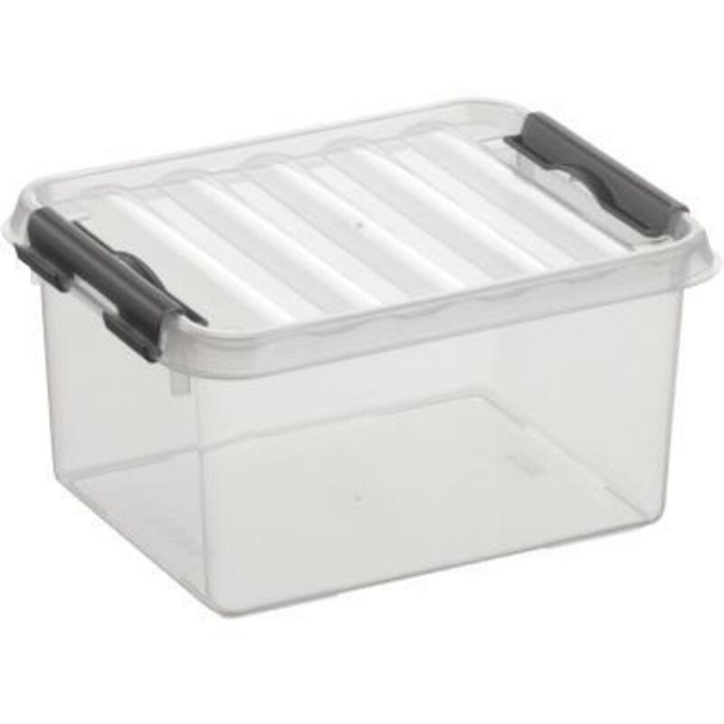 Sunware - Aufbewahrungsbox 2L transparent 20 x 15 x 10 cm Boxen, Körbchen & Kisten