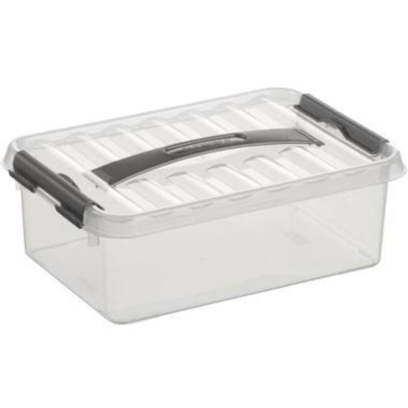 Aufbewahrungsbox 4L transparent 30 x 20 x 10 cm Boxen, Körbchen & Kisten - Sunware