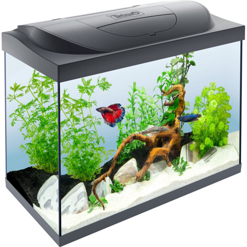 Starter Line Aquarium Set mit led Fischfutter - Tetra