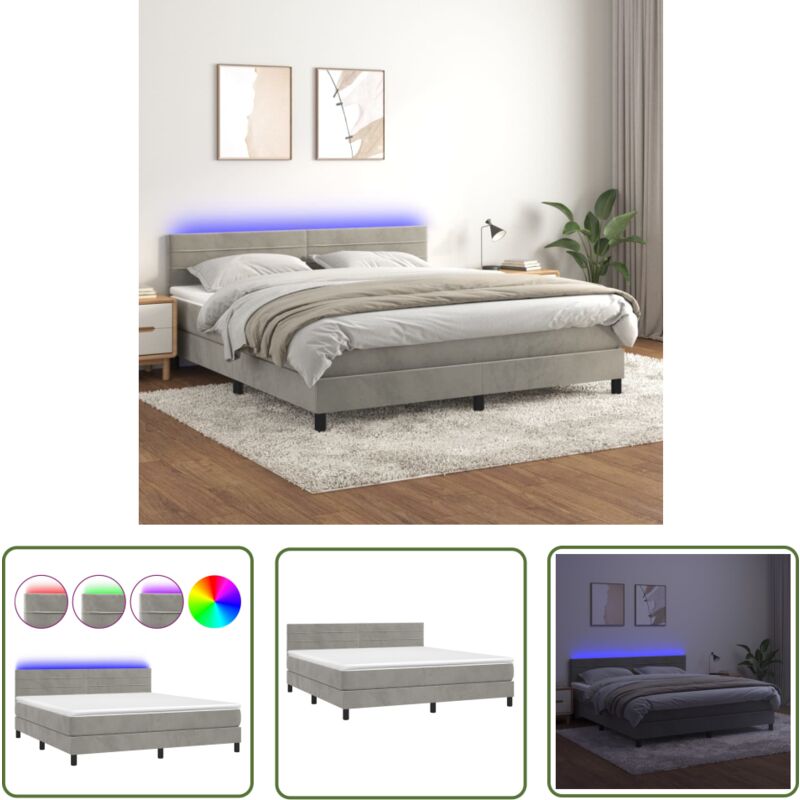 The Living Store - Boxspringbett mit Matratze & led Hellgrau 160x200 cm Samt - Boxspringbett - Doppelbett - Samtbett - Luxusbett - Bettrahmen
