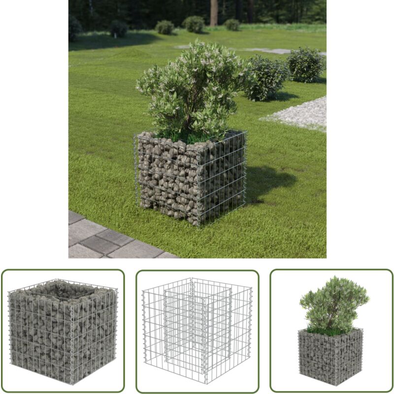 The Living Store Gabionen-Hochbeet Verzinkter Stahl 50×50×50 cm - Gabionen-Hochbeet - Stahltank - Gartendekoration - Blumenerde - Steinfüllung