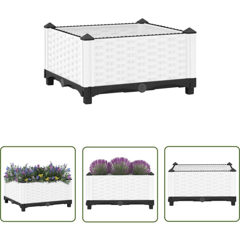 The Living Store - Hochbeet 40x40x23 cm Polypropylen - Hochbeet - Blumenerde - Gartenmöbel - Polypropylen - Weißer Hochbeet