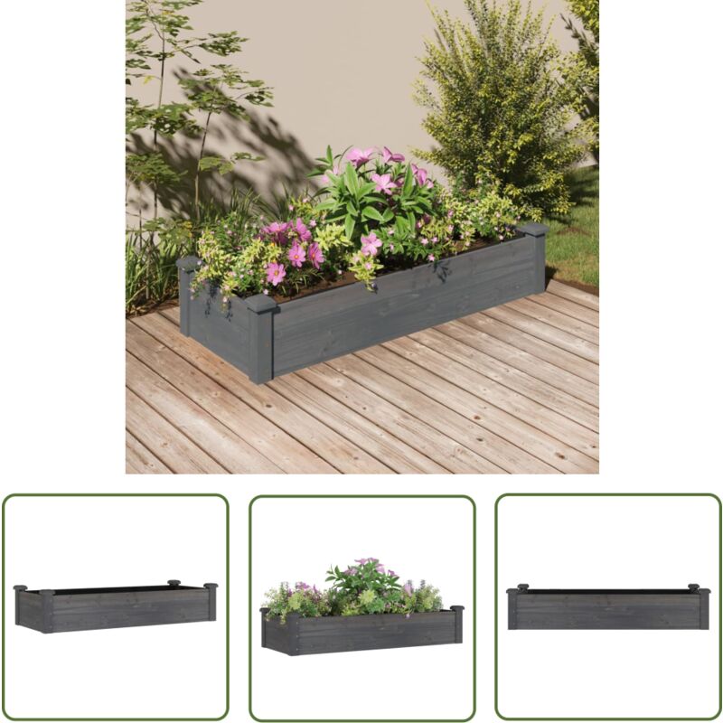 The Living Store - Hochbeet mit Einsatz Grau 120x45x25 cm Massivholz Tanne - Hochbeet - Holzhäuser - Gartengeräte - Gemüsegarten - Blumengarten