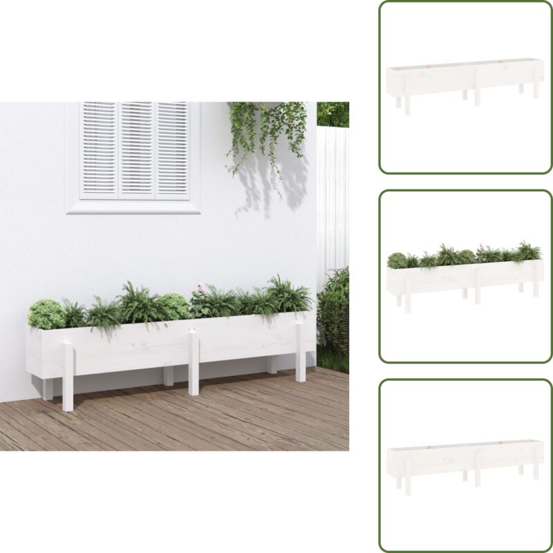 The Living Store - Hochbeet Weiß 160x30x38 cm Massivholz Kiefer - Holz Hochbeet - Hochbeet Weiß - Garten Hochbeet - Pflanzböden - Massiver Kiefernholz