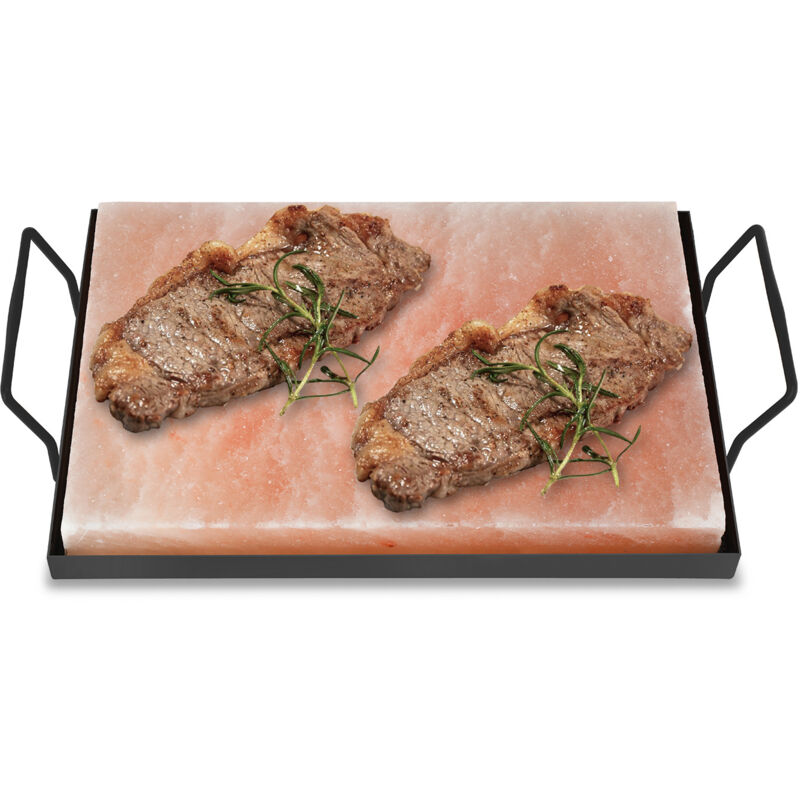 TolleTour Himalaya Salzstein mit Halter 30x20x3 cm Grillstein für BBQ Gasgrill Steak Fisch Servierplatte Natur