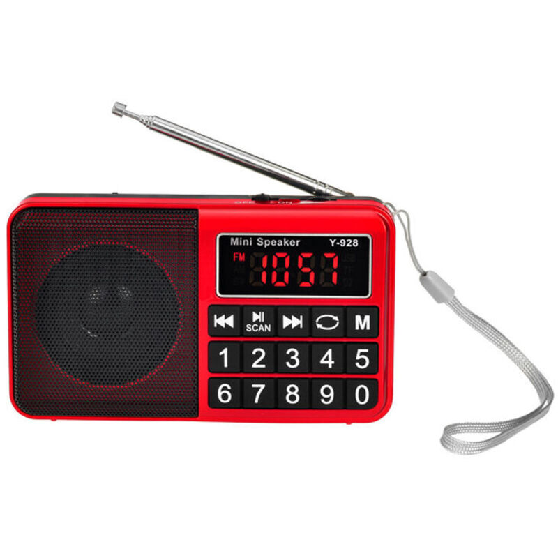 Tragbares Radio FM/AM(MW)/SW/USB/Micro-SD/MP3, Radio mit großen Tasten und großem Bildschirm, tragbares Radio, wiederaufladbarer Akku 1200 mAh