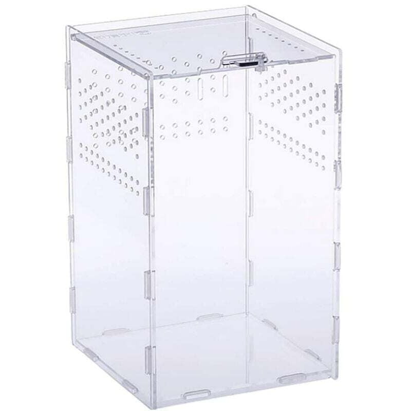 Transparente Reptilien-Futterbox, tragbares Acryl-Terrarium für Marienkäfer, Frosch, Skorpion, Eidechse, Spinne (25 cm 15 cm 15 cm)