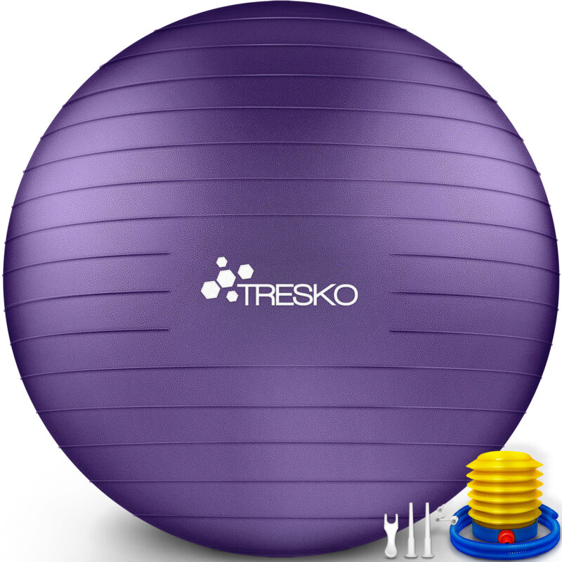 TRESKO Gymnastikball (Lila 65cm) mit Pumpe Fitnessball Yogaball Sitzball Sportball Pilates Ball Sportball