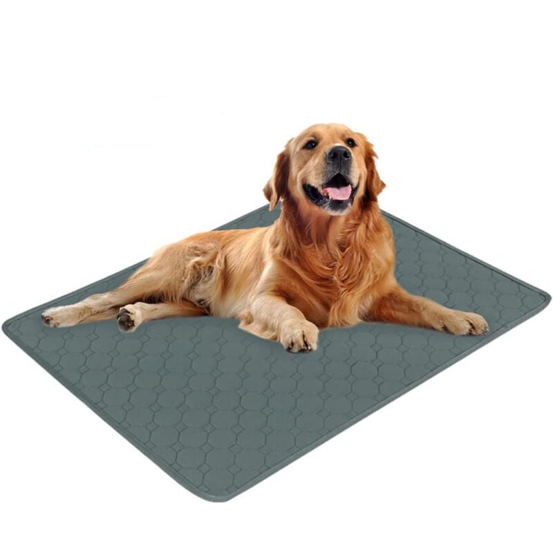 Ultra-absorbierende Trainingsmatte für Hunde, wiederverwendbare Matte für Hunde und Welpen, geeignet für Hunde, Katzen und Meerschweinchen (1 Stück,