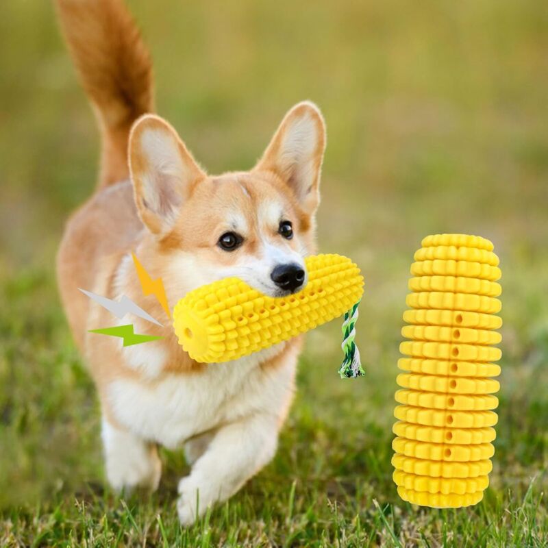 Unzerstörbares Hundespielzeug, quietschendes Hundespielzeug, perfektes Geschenk für Hunde, geeignet für mittelgroße und große Hunde.