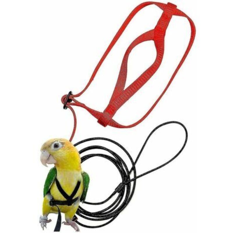 Verstellbares Vogelgeschirr für Haustiere, Papageiengeschirr mit Leine, Beißschutz-Trainingsseil, Outdoor-Fluggeschirr für Haustiere – XS, Sunny