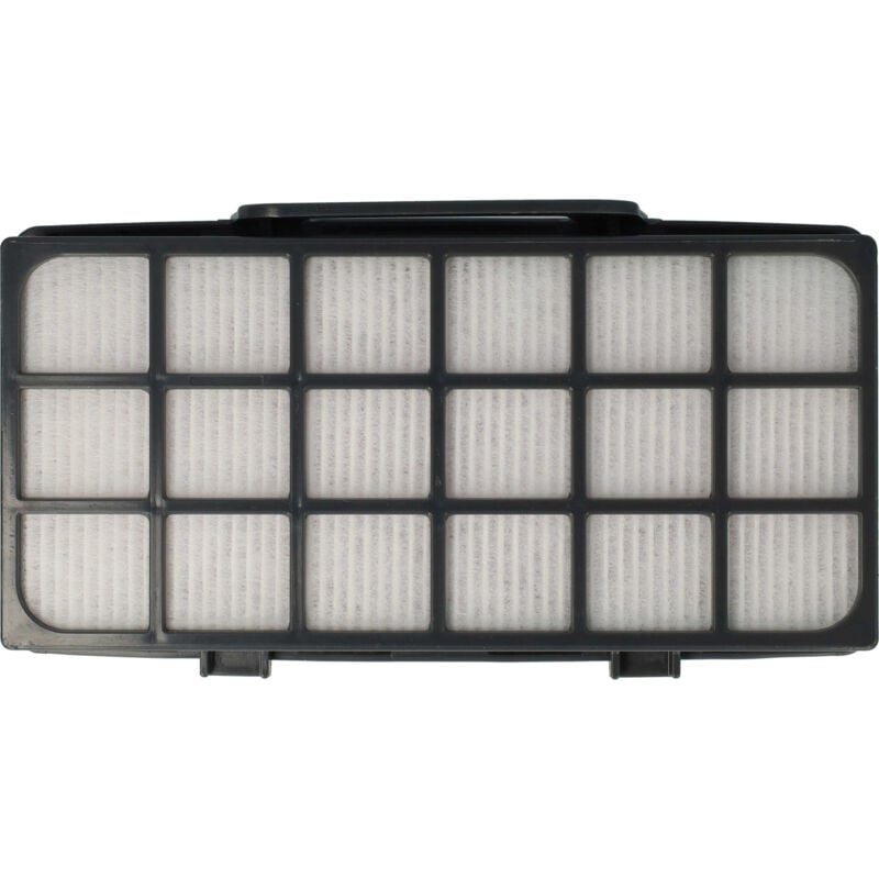 Nachmotorfilter kompatibel mit Rowenta X-trem Power Parkett RO6843EA, RO6850EA Staubsauger - Abluftfilter (EPA-Filter) - Vhbw