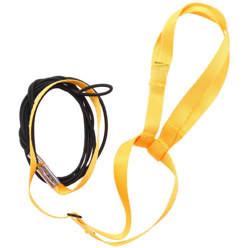 Vogelgeschirr und -leine für Haustiere, verstellbare Papageien-Vogelgeschirr-Leine – Bissschutz-Trainingsseil für Haustiere, Outdoor-Fluggeschirr und