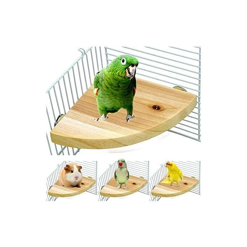 Vogelkäfig-Sitzstange, Ständer, Plattform, Holz, Fächerform, Papageien-Spielplatz, Käfigzubehör für Vögel, Papageien, Hamster, Eichhörnchen, stehend