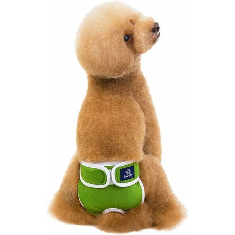 Waschbare Hündinnenwindel, saugfähige Hygienehose für Hündinnen, wiederverwendbare Windeln für Hunde und Katzen, Hygienehose für Hündinnen, Grün XL