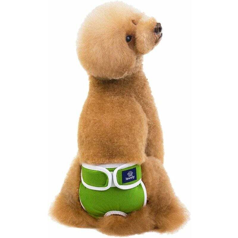 Waschbare Hündinnenwindel, saugfähige Hygienehosen für Hündinnen, wiederverwendbare Windeln für Hunde und Katzen, Hygienehosen für Hündinnen, Grün, XL